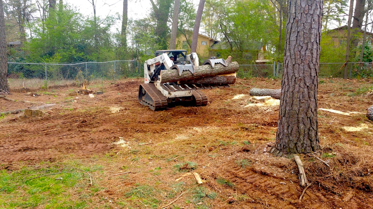 Bobcat Tree Removal