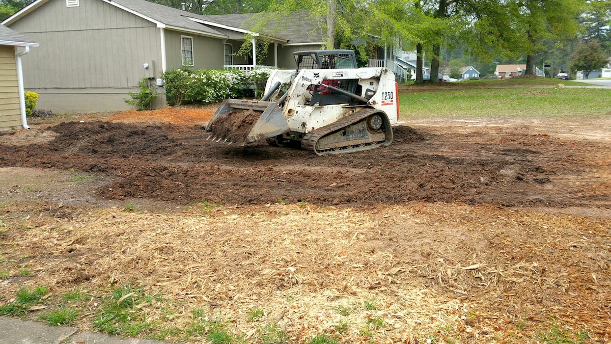 Bobcat Grading