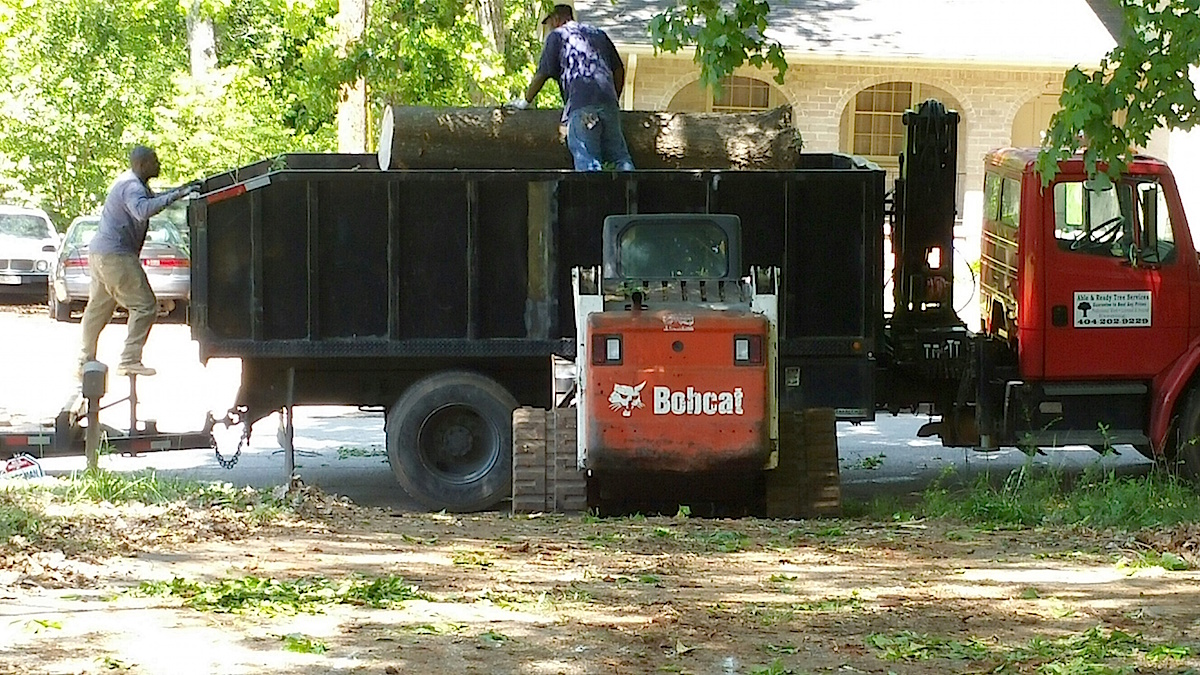 Hauling Away Trees